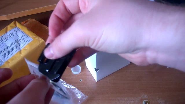 САМАЯ ДОРОГАЯ И ДОЛГОЖДАННАЯ ПОСЫЛКА (краткий обзор и распаковка экшн-камеры Gitup Git2 Pro) смотреть онлайн