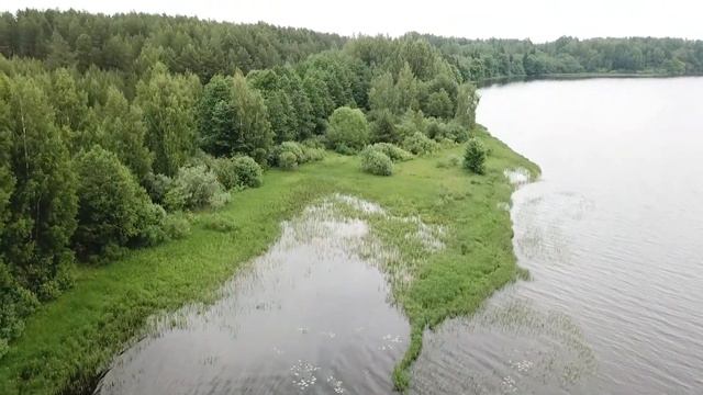 залив смотреть онлайн