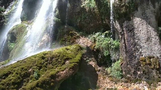 Surxondaryo Sangardak Sharsharasi...