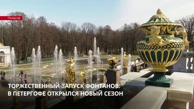 Торжественный запуск фонтанов: в Петергофе открылся новый сезон смотреть онлайн