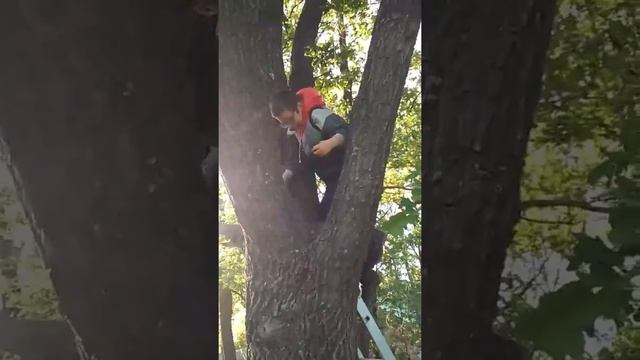 Учим скворца летать смотреть онлайн