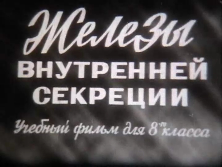 Железы внутренней секреции смотреть онлайн