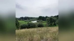 д. Зимонино Шумячского р-на Смоленской обл.