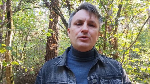 Исправьте и число заказов с сайта вырастет в 10 раз | Контекстная реклама смотреть онлайн