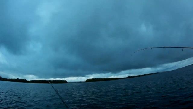 Екатериновка. Искали щуку, а взяли берша!!! смотреть онлайн