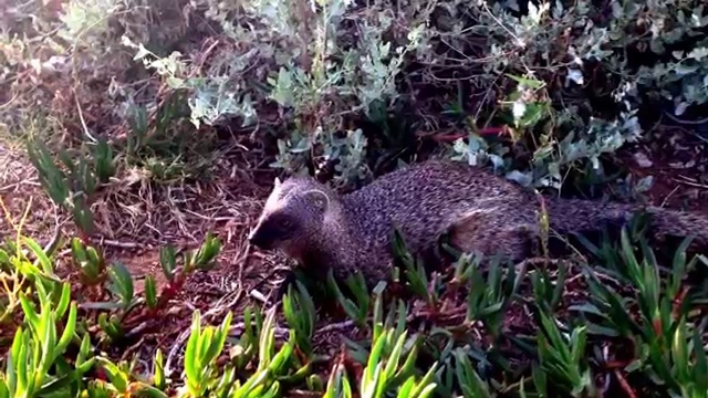 НЕТАНИЯ.НАБЕРЕЖНАЯ .11.05.2014 смотреть онлайн