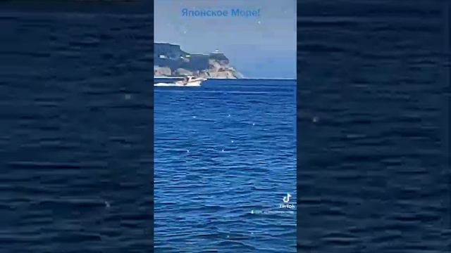 Японское море смотреть онлайн