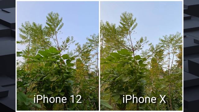 iPhone 12 vs iPhone X Camera Test смотреть онлайн
