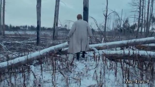 Сука разлука смотреть онлайн