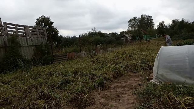 Убираем сорняк на картошке смотреть онлайн