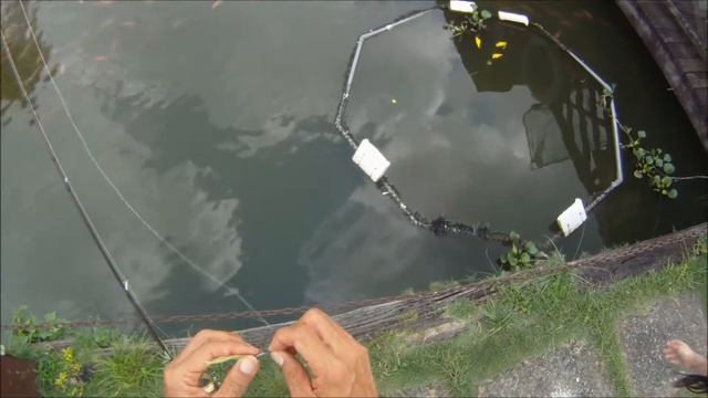 Marianne Rocking With Berkley Gulp