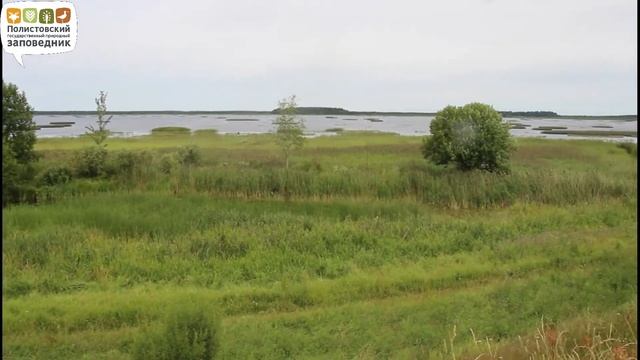 Экскурсия по деревне Цевло, Полистовский заповедник смотреть онлайн