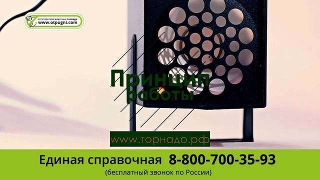 Ультразвуковые отпугиватели мышей и крыс Торнадо смотреть онлайн