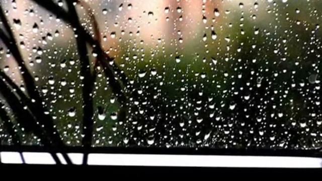 я от любви к вам не умра.wmv смотреть онлайн