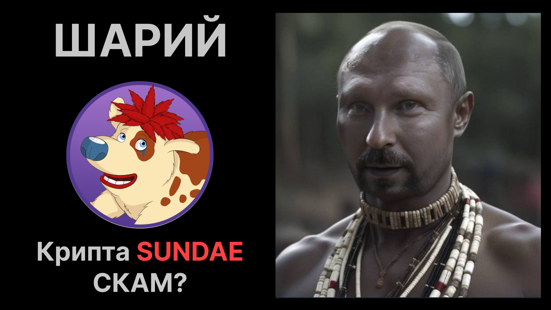 АНАТОЛИЙ ШАРИЙ - КРИПТА SUNDAE СКАМ? #шарий #sundae