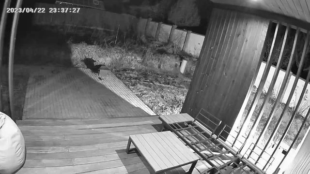 Aqara Умная камера G2H Camera CH-H01 ночная съемка с детекцией на зайца