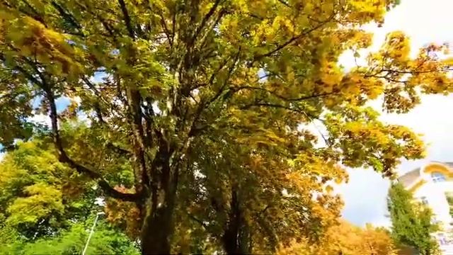 Спасение В городе тихая осень смотреть онлайн