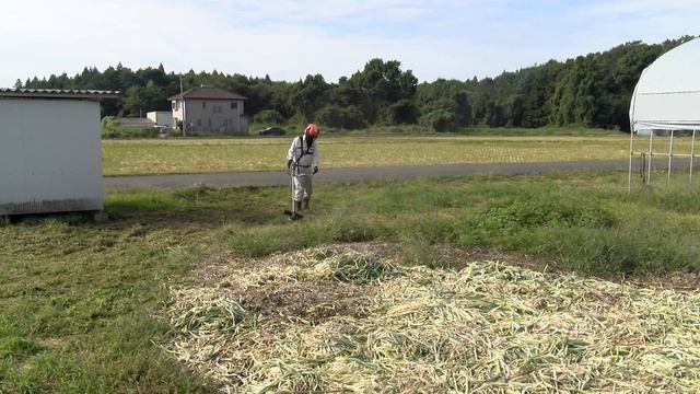 STIHL FS250にSTIHL AutoCut36-2を付けてSTIHL 丸コード2.7mmを巻いて草刈りするよ смотреть онлайн