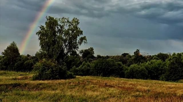 Береза. Зима, весна, лето, осень и опять зима. смотреть онлайн