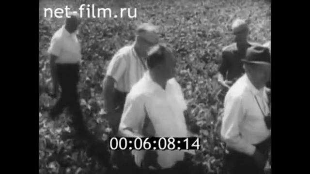 1965г. станица Кореновская колхоз имени Ленина Кореновский район Краснодарский край смотреть онлайн