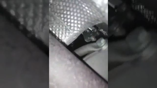 Audi a4 speed sensor смотреть онлайн
