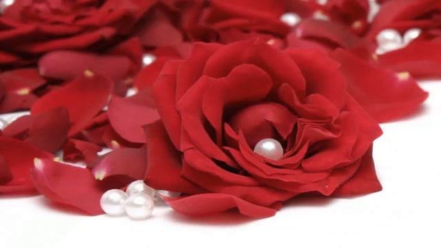 Лепестки роз