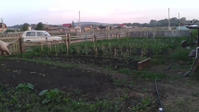 Мой муж-англичанин в деревне Старохалилово (Башкирия) смотреть онлайн