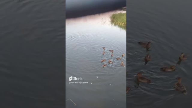 отдых на природе