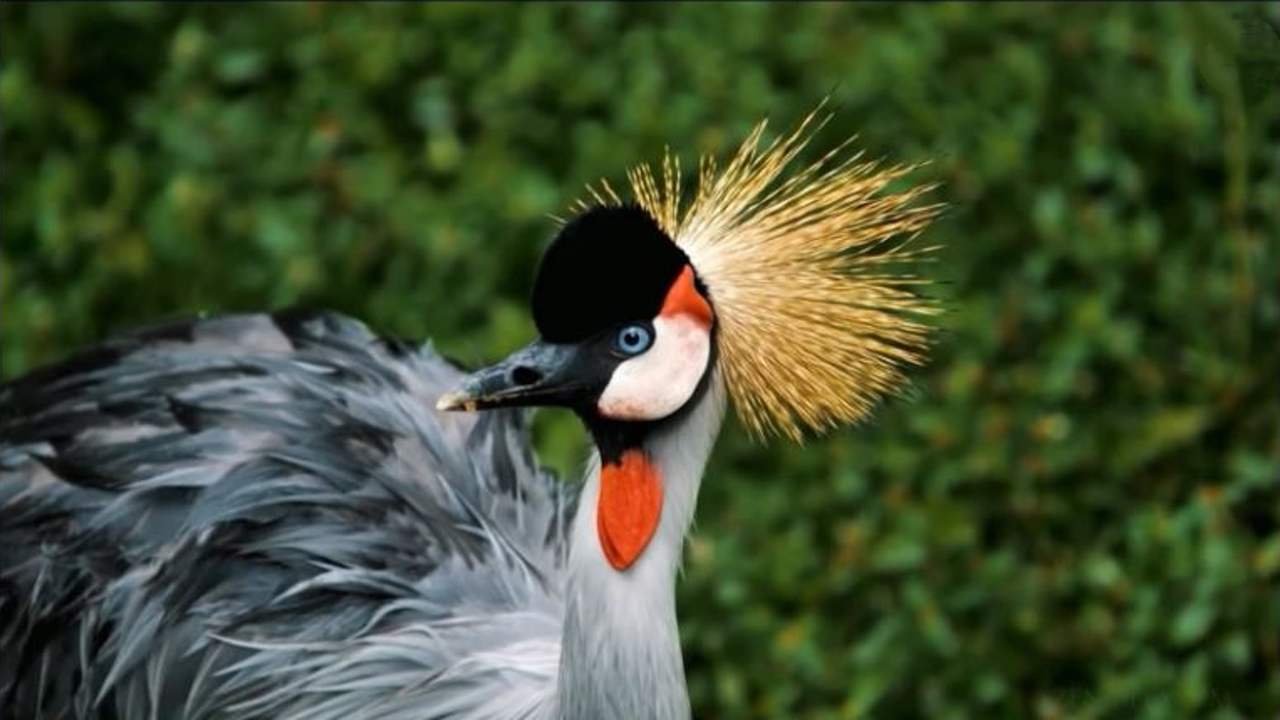 Музыка Для Снятия Стресса / Музыка Фортепиано / Легкая Успокаивающая Музыка смотреть онлайн