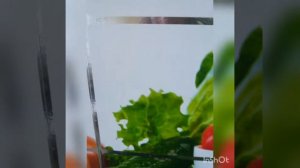 Чем отмыть кухонный фартук от капелек жира?