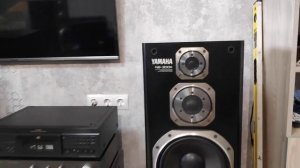 YAMAHA NS 300X