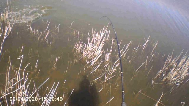 щука мандула 2020 смотреть онлайн