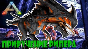 Приручение Жнеца на карте Аберация в Фиолетовом биоме