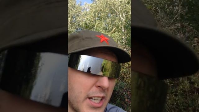 Белокрылые картинки смотреть онлайн