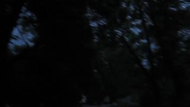 Мухоловка белошейка смотреть онлайн