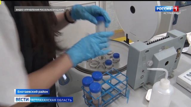 В Астраханской области обнаружили несанкционированные свалки.mp4 смотреть онлайн