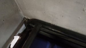 Выхлоп на бензогенератор. Исправляем ошибки мастеров.