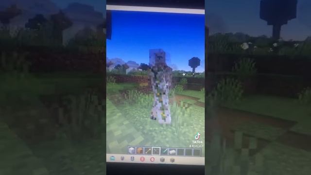 Как сделать интересный эффект с големом,луком и спектральной стрелой (только на джаве) смотреть онлайн