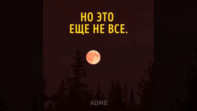 Луна пройдёт через земную тень!!!? смотреть онлайн