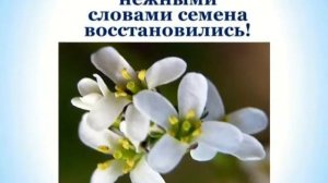 Видео презентация «Вирус сквернословия»