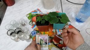 Циркон - Помощник для получения БОГАТЫХ УРОЖАЕВ!  Как правильно развести Циркон.