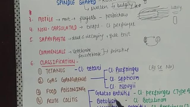 CLOSTRIDIUM | GENERAL FEATURE || MICROBIOLOGY| CLASSIFICATION| gram positive bacilli part 1 (8point смотреть онлайн