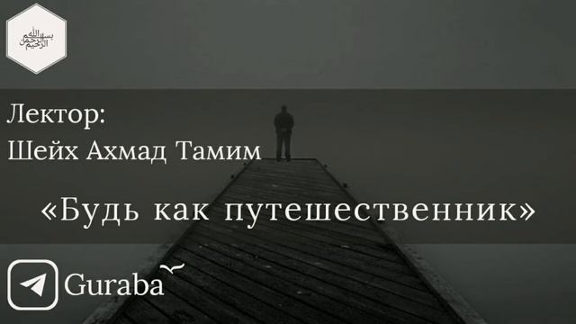 Шейх Ахмад Тамим смотреть онлайн