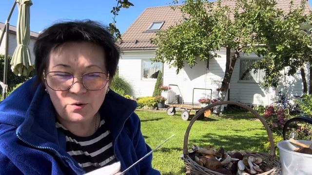 Включи ЛОКАТОР в ЛЕСУ или набрали БЕЛЫХ ? МАРИНУЮ ГРИБЫ #грибы #2023 #eesti смотреть онлайн