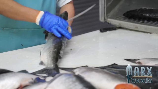 How to Remove a Fish Head Video смотреть онлайн