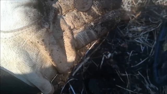 Находки с нескольких выходов смотреть онлайн