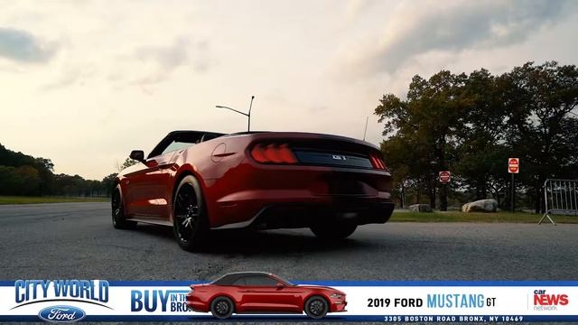 2019 Ford Mustang GT | City World Ford | Bronx, New York NY White Plains New Rochelle Queens смотреть онлайн