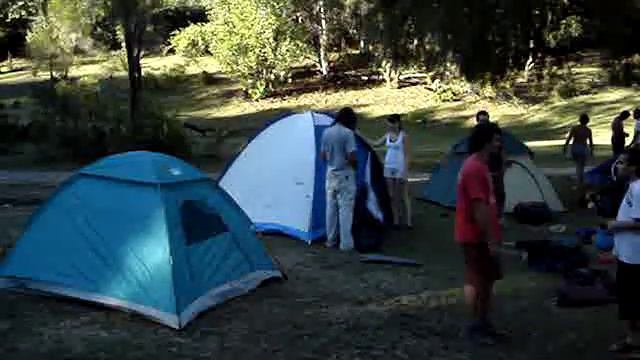 Armando las carpas смотреть онлайн
