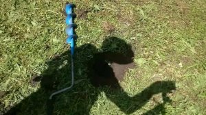 ТЫКВА...сажаю по целине