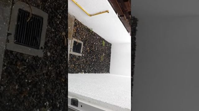 REMATO CASA 3 REC. EN $ 480, 000 CERCA DEL TREN LIGERO PARTE 1 смотреть онлайн